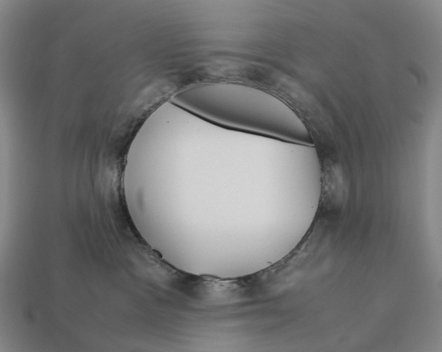 X0000113090333200909251015