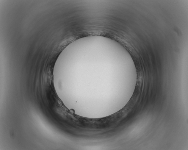 X0000113090334200909251015
