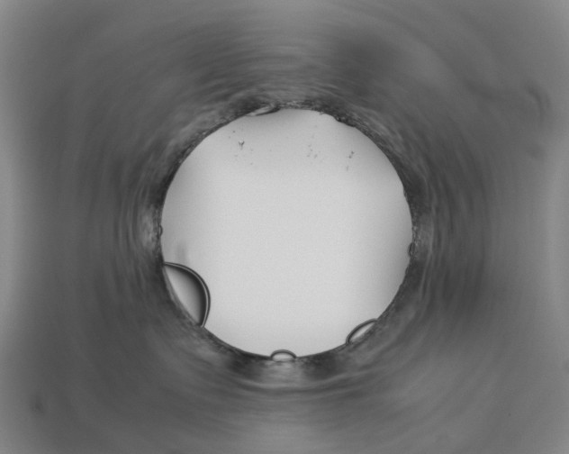 X0000113090335200909251015