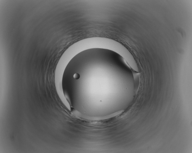 X0000113090336200909251015