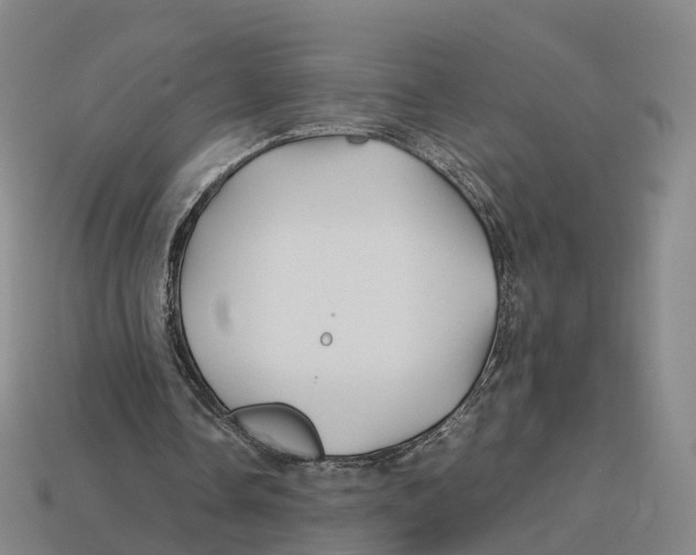 X0000113090338200909251015