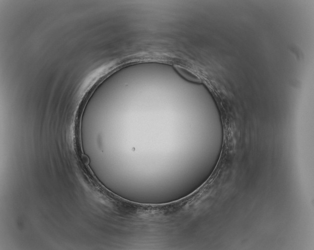 X0000113090340200909251015