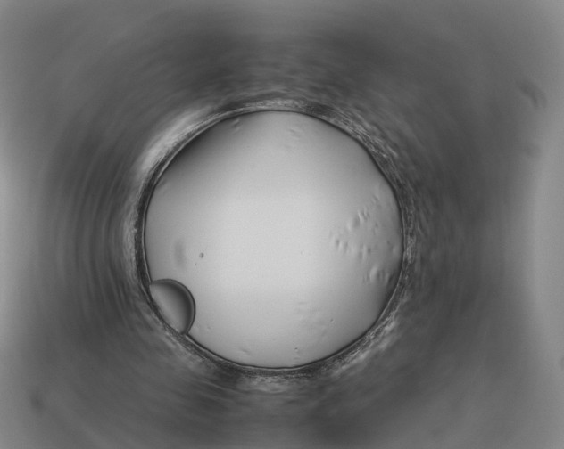 X0000113090341200909251015