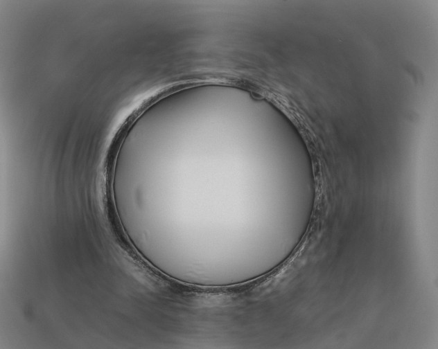 X0000113090342200909251015