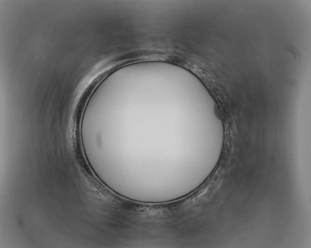 X0000113090343200909251015