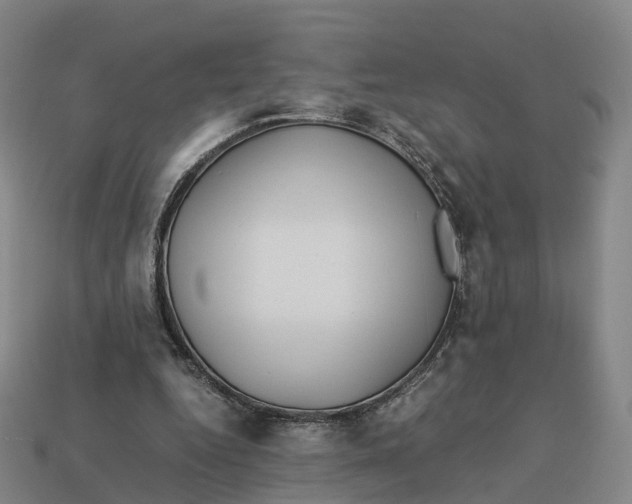 X0000113090344200909251015