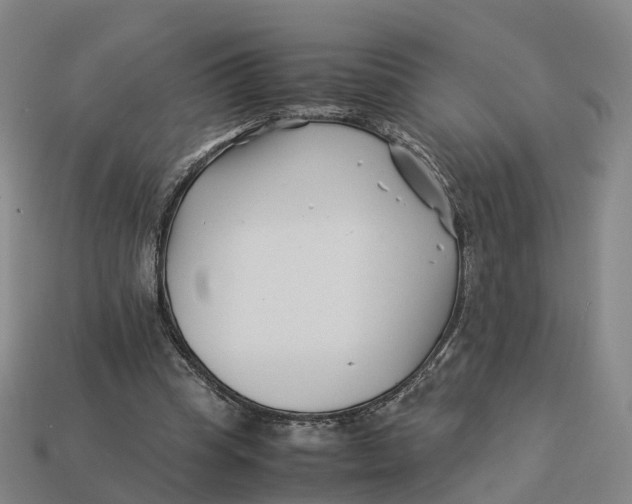 X0000113090345200909251015