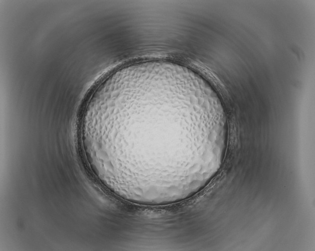 X0000113090346200909251015