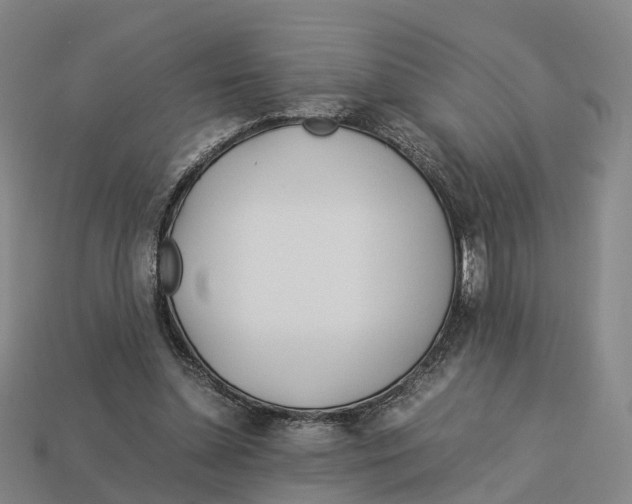 X0000113090348200909251015