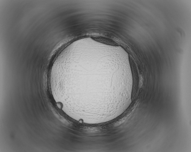 X0000113090349200909251015