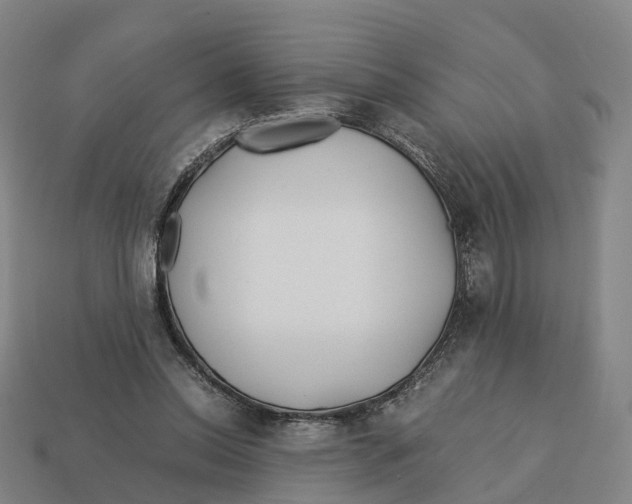X0000113090350200909251015