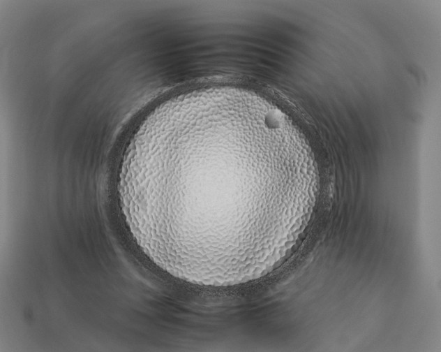 X0000113090351200909251015