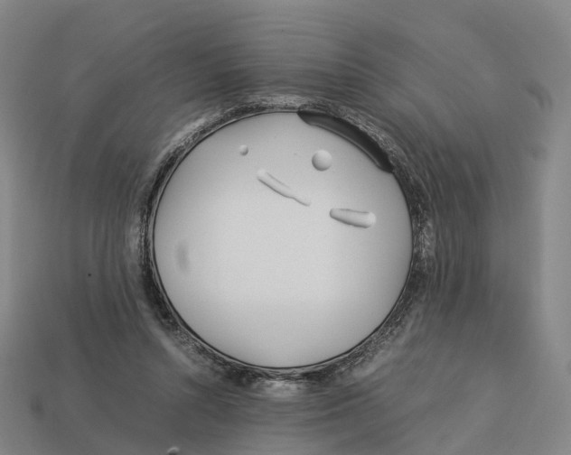 X0000113090352200909251015
