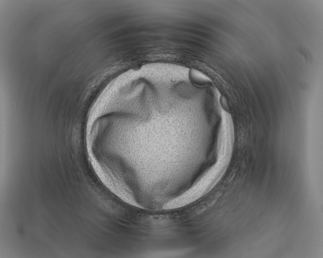 X0000113090353200909251015