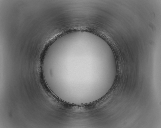 X0000113090354200909251015