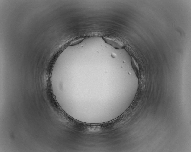X0000113090355200909251015