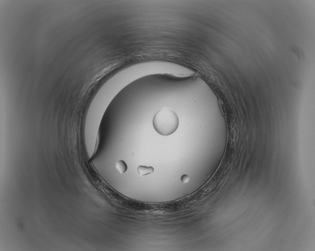 X0000113090356200909251015