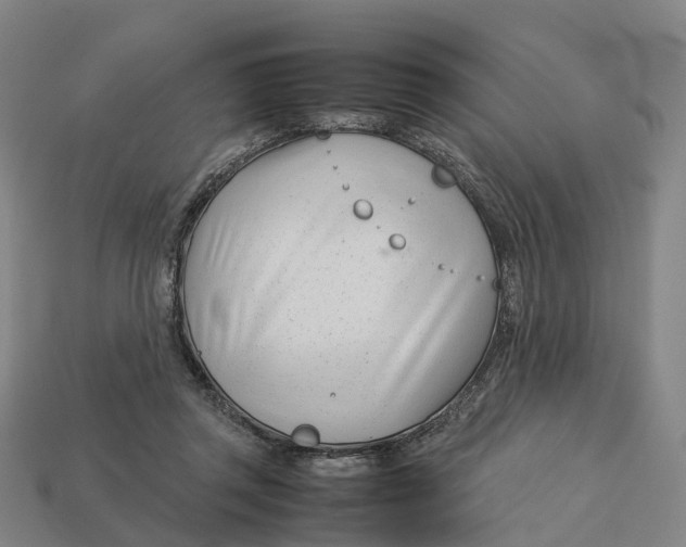 X0000113090357200909251015