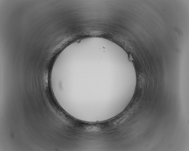 X0000113090358200909251015