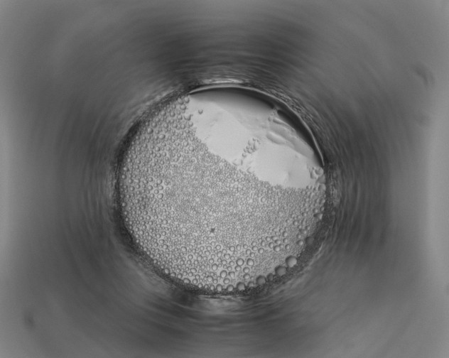 X0000113090359200909251015