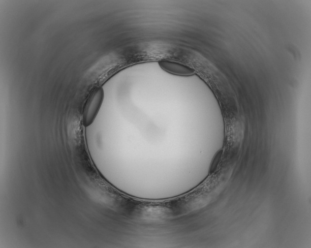 X0000113090360200909251015