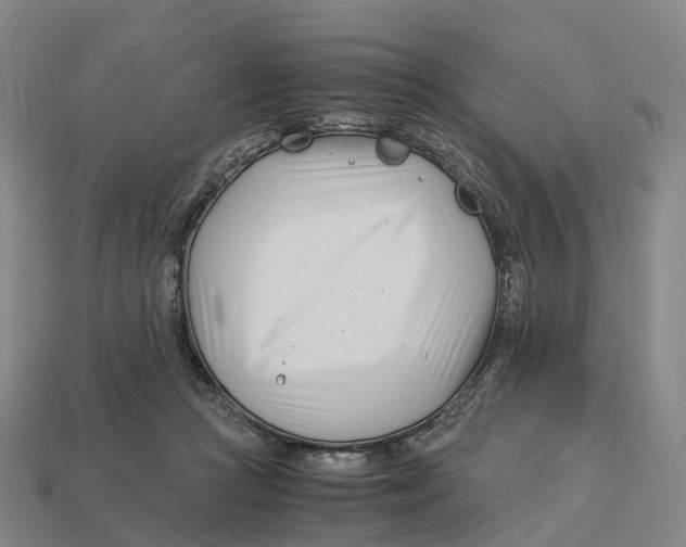 X0000113090361200909251015