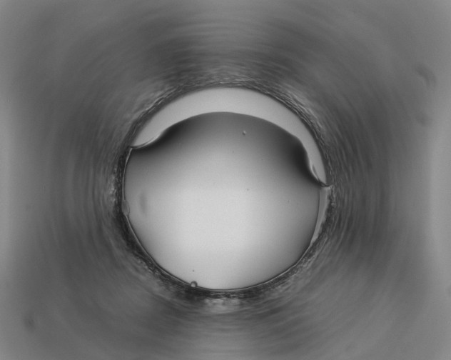X0000113090362200909251015
