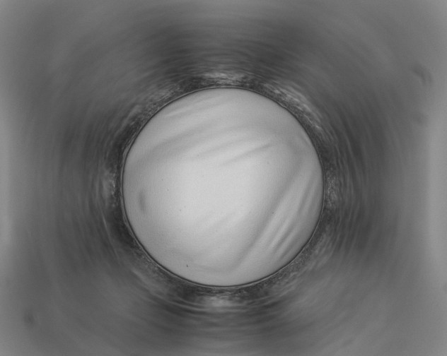 X0000113090365200909251015