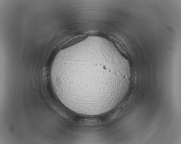 X0000113090366200909251015