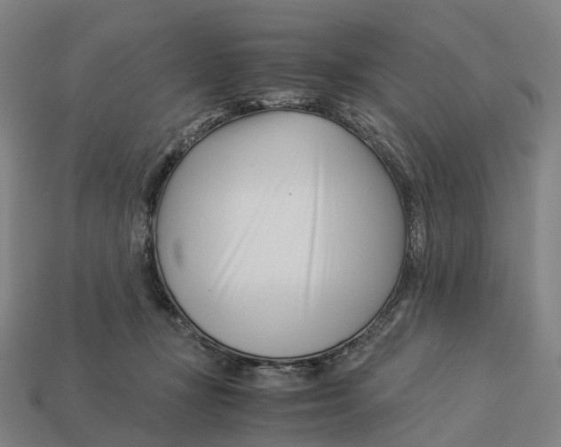 X0000113090367200909251015