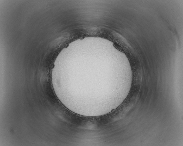 X0000113090368200909251015