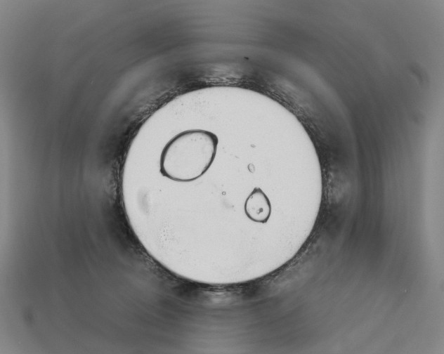 X0000113090370200909251015