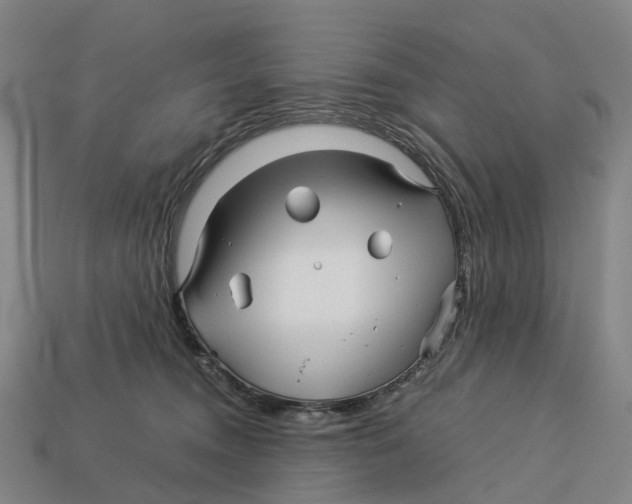 X0000113090372200909251015