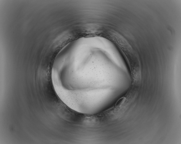 X0000113090376200909251015
