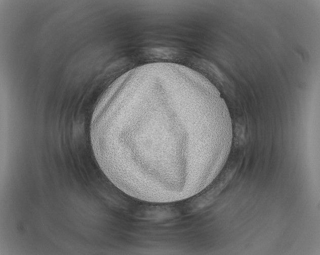 X0000113090377200909251015