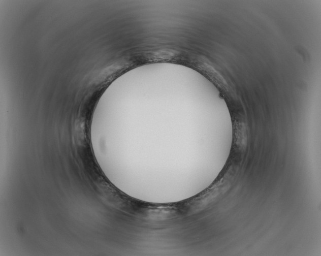 X0000113090378200909251015