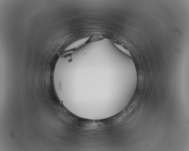 X0000113090379200909251015