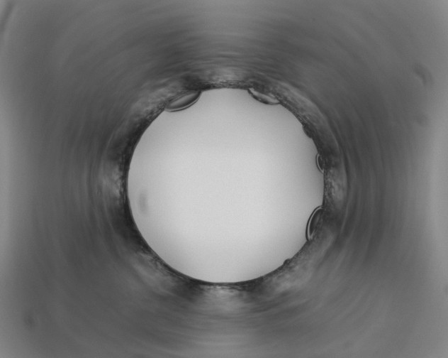 X0000113090380200909251015