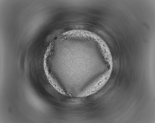 X0000113090381200909251015