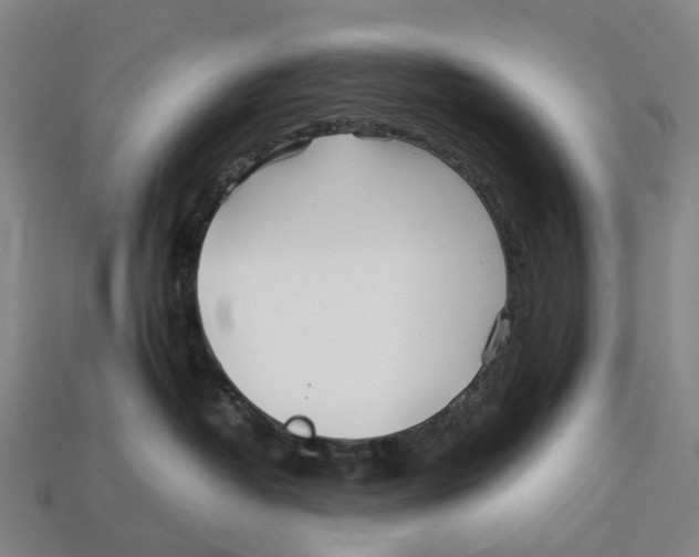 X0000113090382200909251015