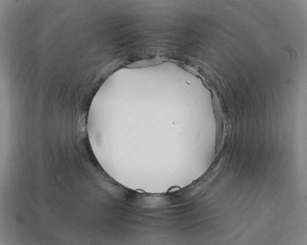 X0000113090383200909251015