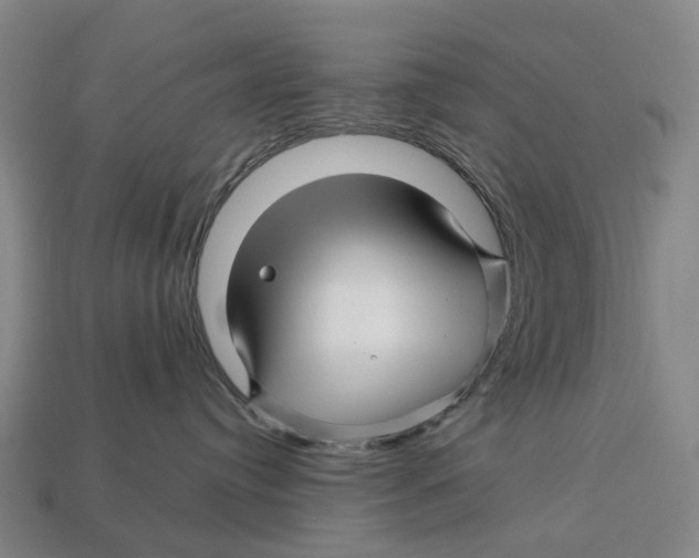 X0000113090384200909251015