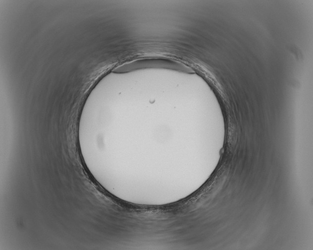 X0000113090385200909251015
