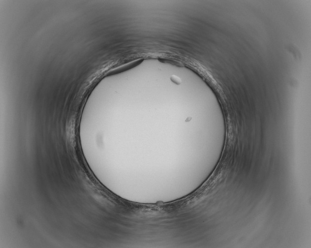 X0000113090386200909251015