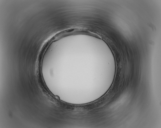 X0000113090388200909251015