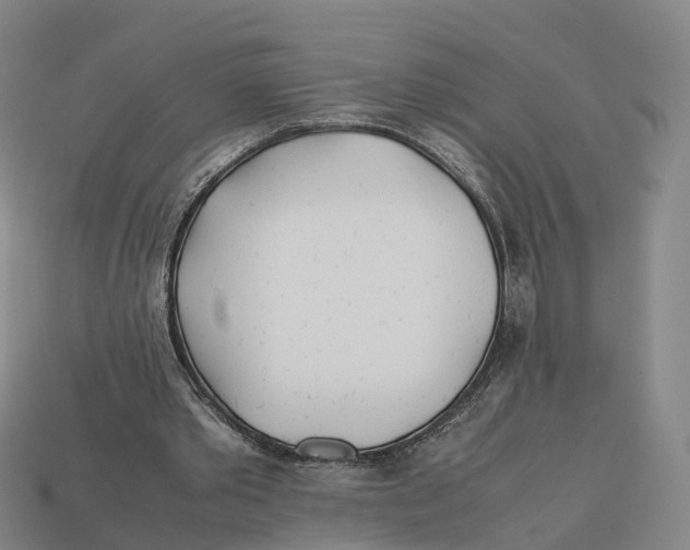 X0000113090389200909251015