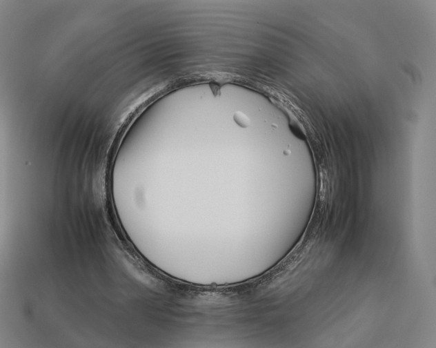 X0000113090390200909251015