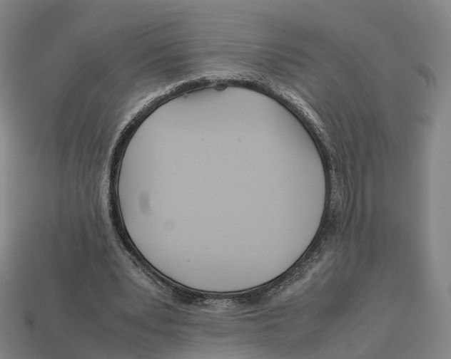 X0000113090391200909251015