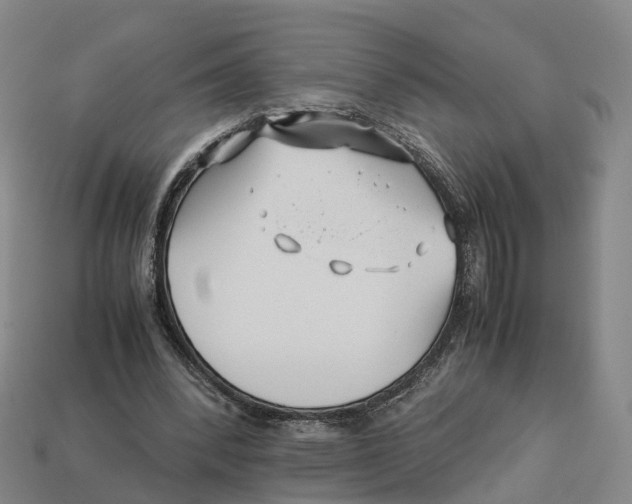 X0000113090392200909251015