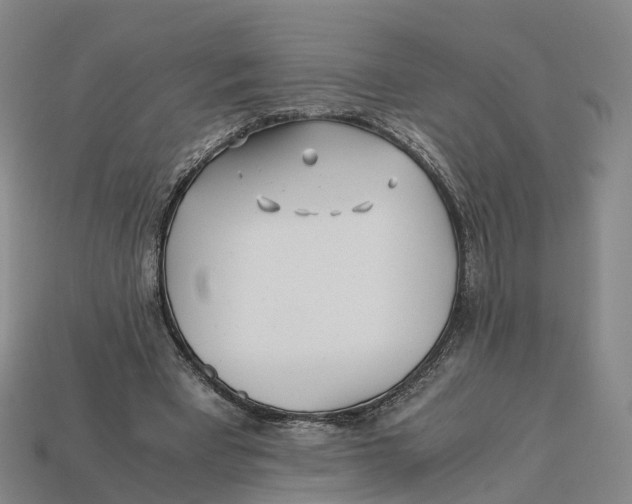 X0000113090393200909251014
